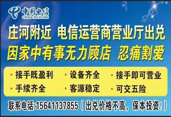 莊河最新招聘網(wǎng)，人才與機(jī)遇的橋梁