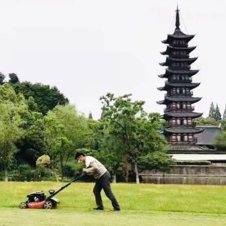 中山年票最新動態(tài)，政策調(diào)整及未來展望