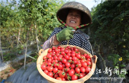 企水鎮(zhèn)最新新聞動態(tài)報(bào)道速遞