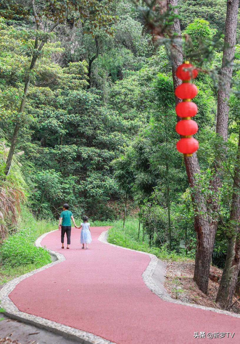 北城村委會未來繁榮藍(lán)圖，最新發(fā)展規(guī)劃揭秘