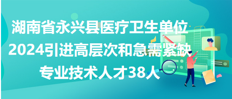 永興人才招聘最新動態(tài)，引領(lǐng)人才發(fā)展風(fēng)向標(biāo)